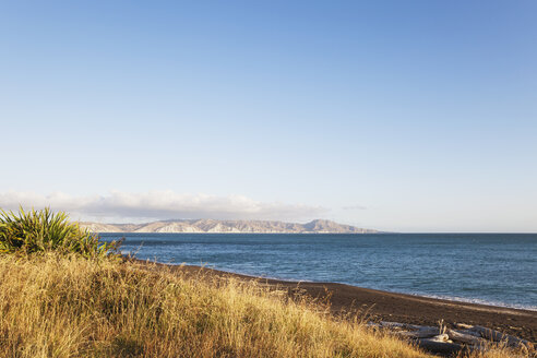 New Zealand, North Island, East Cape region, Mahia Peninsula, evening sunlight, late summer, South Pacific - GWF004819