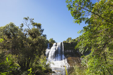 Neuseeland, Nordinsel, Te Urewera National Park, Papakorito Falls - GWF004838