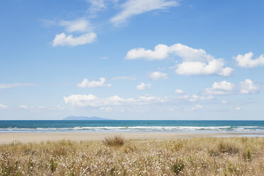 Neuseeland, Nordinsel, Coromandel-Region, Waihi Beach, Südpazifik, Strand - GWF004845