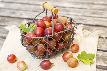 Drahtkorb mit roten Stachelbeeren - SARF002823