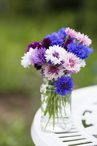 Kornblumen im Glas, lizenzfreies Stockfoto