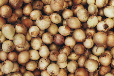 Onions at the farmer's market - BZF000317