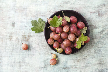 Bowl of red gooseberries - MYF001716