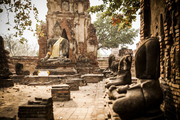 Thailand, Ayutthaya, Wat Mahathat im Historischen Park - GIOF001290