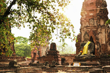 Thailand, Ayutthaya, Wat Mahathat im Historischen Park - GIOF001291