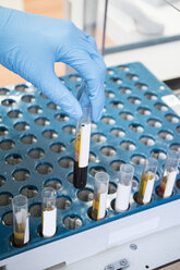 Laboratory technician in analytical laboratory taking test tubes tray - ABZF000822