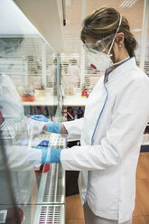Labortechniker im analytischen Labor, der Zellen in Petrischalen züchtet - ABZF000848