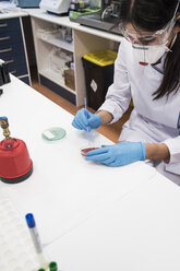 Labortechniker im analytischen Labor, der Zellen in Petrischalen züchtet - ABZF000852