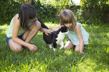 Two girls stroking cat on a meadow - LVF005138