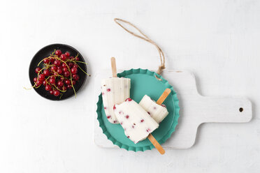 Vanilla icecream and red currants - MYF001718