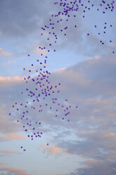 Luftballons am Himmel - HLF000986