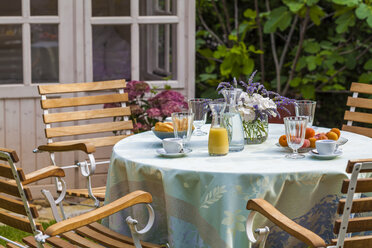 Gartenhäuschen und gedeckter Tisch im Garten - WDF003691