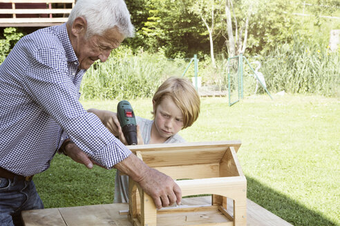 Grandfather and grandson building up a birdhouse - RBF004754