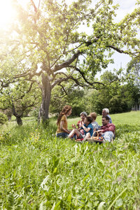 Großfamilie beim Picknick auf der Wiese - RBF004781