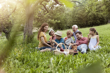 Großfamilie beim Picknick auf der Wiese - RBF004782