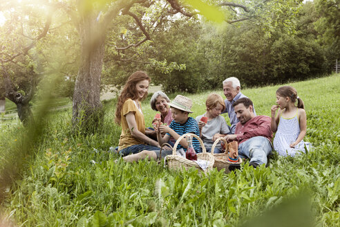 Extended family having a picnic in meadow - RBF004782