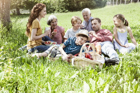 Großfamilie beim Picknick auf der Wiese - RBF004783