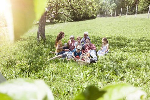 Großfamilie beim Picknick auf der Wiese - RBF004784