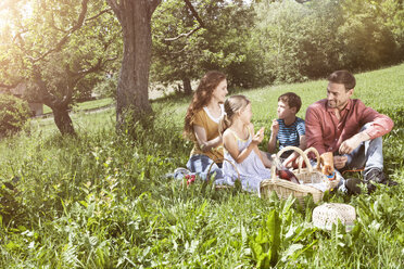 Familie beim Picknick auf der Wiese - RBF004786