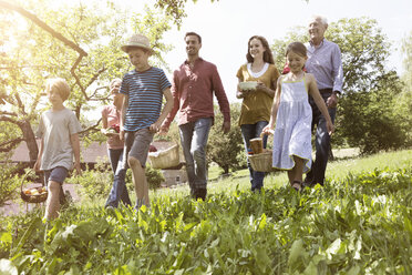 Großfamilie beim Spaziergang mit Picknickkörben auf einer Wiese - RBF004787