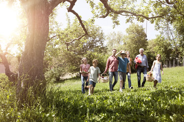 Großfamilie beim Spaziergang mit Picknickkörben auf einer Wiese - RBF004788