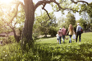 Großfamilie beim Spaziergang mit Picknickkorb auf einer Wiese - RBF004789