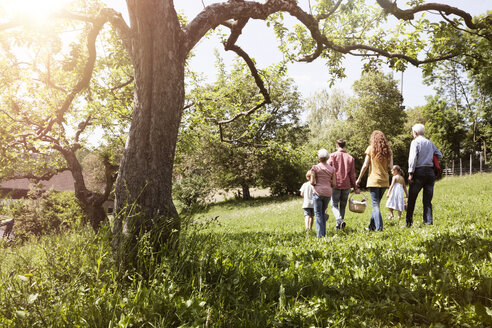 Extended family walking with picnic basket in meadow - RBF004789