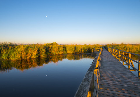 Deutschland, Baden-Württemberg, Schwaben, Oberschwaben, Bad Buchau, Federsee, Holzpromenade am Morgen, lizenzfreies Stockfoto