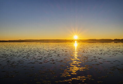 Deutschland, Baden-Württemberg, Schwaben, Oberschwaben, Federsee, Moor bei Sonnenaufgang - SIEF007071