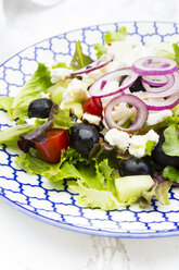 Greek salad on plate - LVF005161