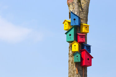 Colorful birdhouses on tree - KNTF000437