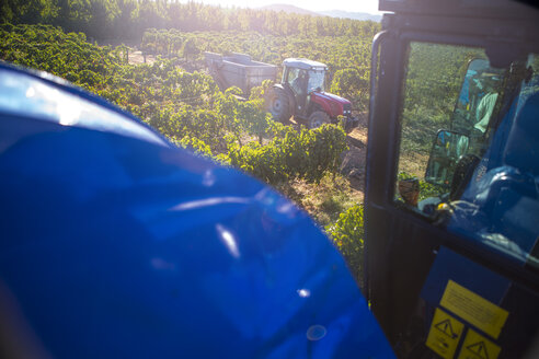 Traubenerntemaschine und Traktor im Weinberg - ZEF009324