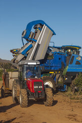 Traubenerntemaschine und Traktor im Weinberg - ZEF009328