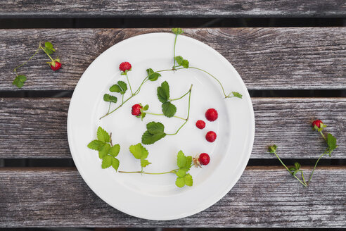 Walderdbeeren, Blätter und Ranken auf dem Teller - GWF004861