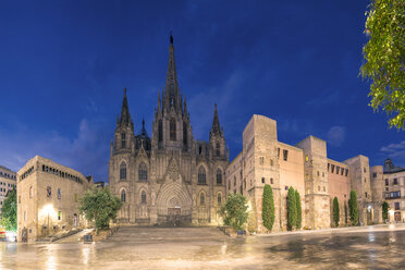 Spanien, Barcelona, Kathedrale am Abend - YRF000118