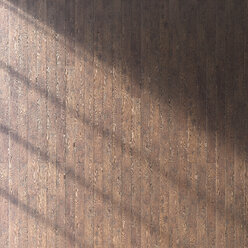 Wooden floor seen from above, 3D Rendering - UWF000935