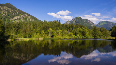 Germany, Bavaria, Allageu, Upper Allgaeu, Moorweiher near Oberstdorf - WGF000908