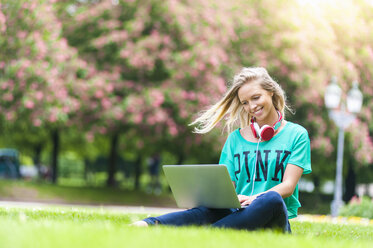 Young woman sitting on a meadow using laptop - DIGF000823