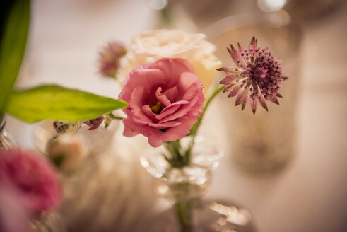 Table decoration, rose, flowers in vase - BMAF000221