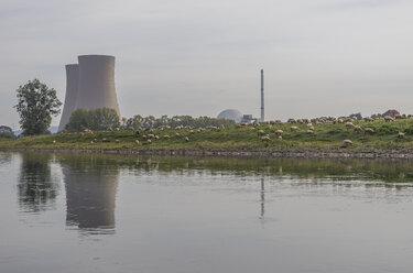 Germany, Lower Saxony, Grohnde, Grohnde Nuclear Power Plant and flock of sheep - PVCF000873