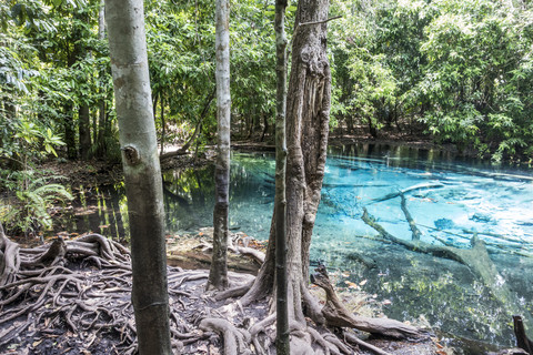 Thailand, Krabo, Emerald Pool im Regenwald, lizenzfreies Stockfoto