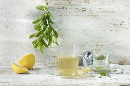 Glass of fresh peppermint tea - ASF005962