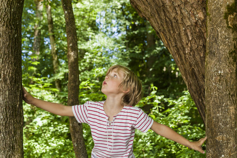 Kleiner Junge schaut zum Baum hinauf, lizenzfreies Stockfoto