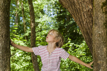 Little boy looking up to tree - TCF005028