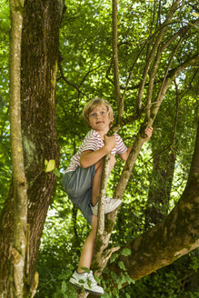 Kleiner Junge klettert auf einen Baum im Wald - TCF005030