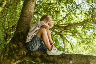 Kleiner Junge sitzt auf einem Baum im Wald - TCF005031