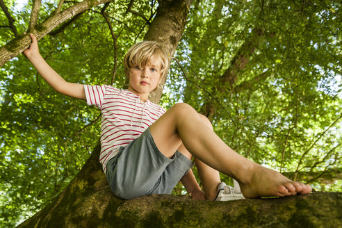 Porträt eines kleinen Jungen, der auf einem Baum im Wald sitzt - TCF005032