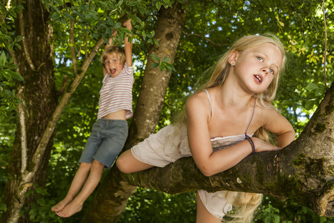 Kleiner Junge und seine Schwester klettern auf einen Baum im Wald, lizenzfreies Stockfoto