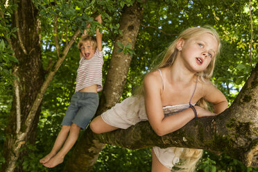 Little boy and his sister climbing on a tree in the forest - TCF005034