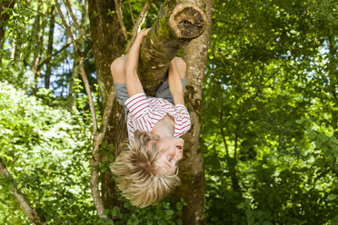 Kleiner Junge klettert auf einen Baum im Wald - TCF005036